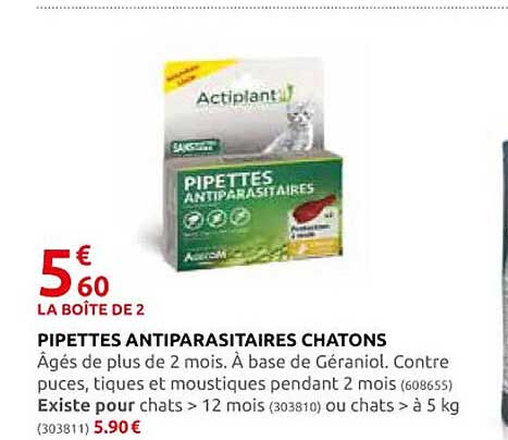 pipettes antiparasitaires chatons