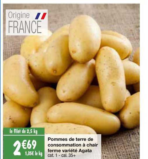 pommes de terre de consommation à chair ferme variété agata