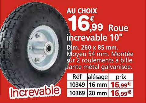 roue increvable 10"