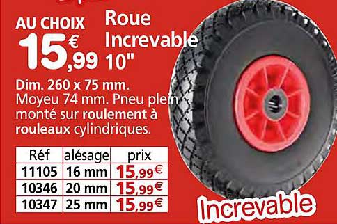 roue increvable 10"