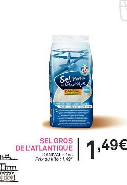 sel gros de l'atlantique danival