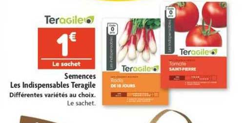 semences les indispensables teragile