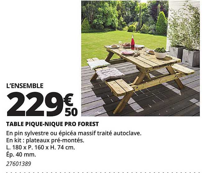 table pique-nique pro forest