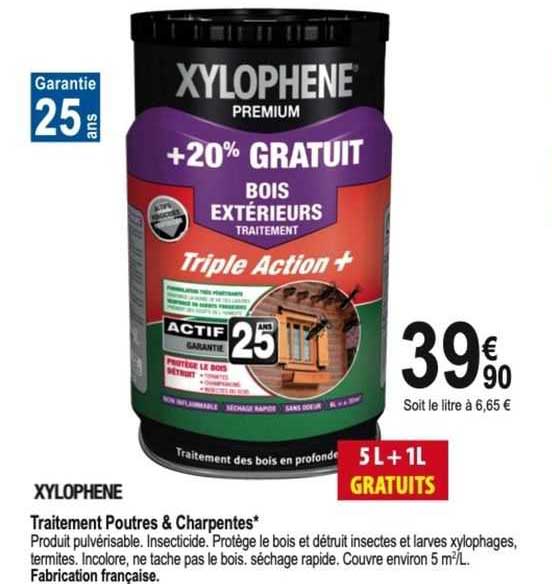 traitement poutres & charpentes xylophène