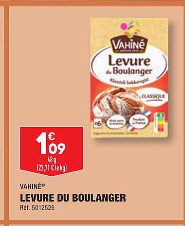 vahiné levure du boulanger