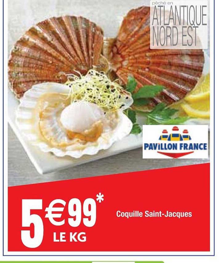 coquille saint-jacques