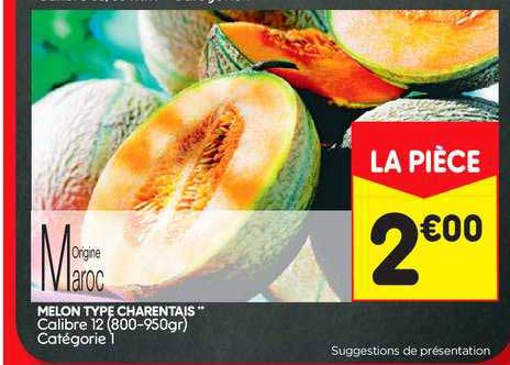 melon type charentais