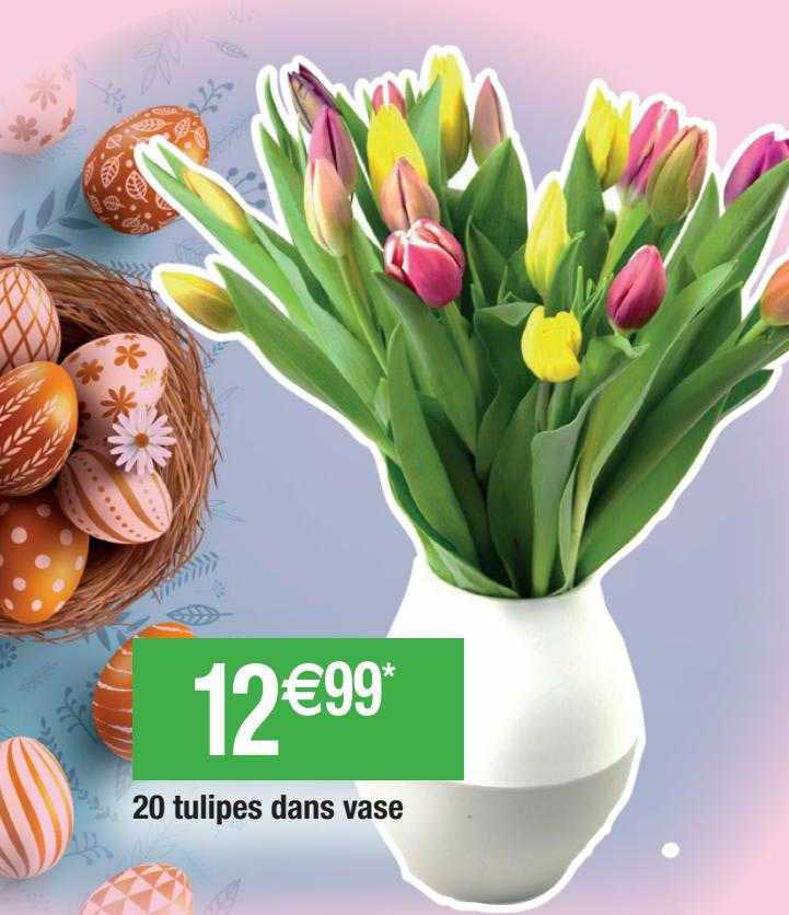 20 Tulipes Dans Vase