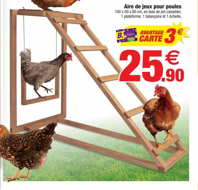 aire de jeux pour poules