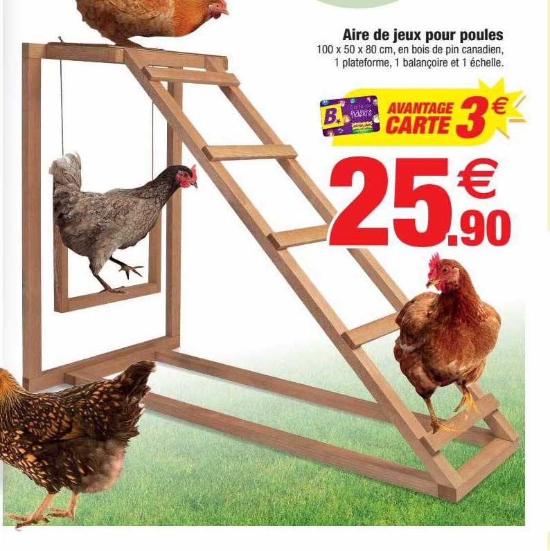 aire de jeux pour poules