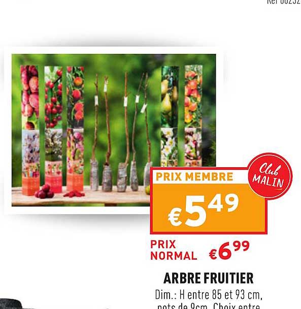 Arbre Fruitier