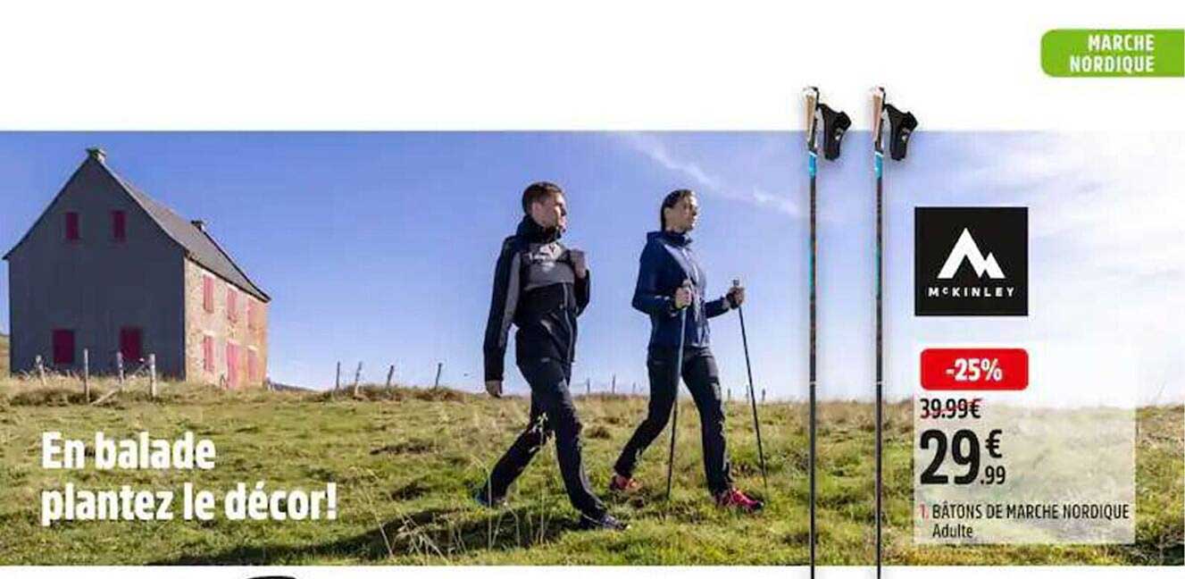 Bâton De Marche Nordique Adulte McKinley