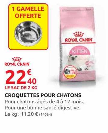 Croquettes Pour Chatons Royal Canin