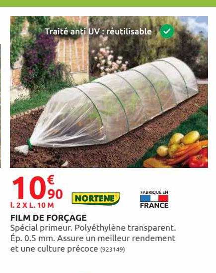 film de forçage nortène
