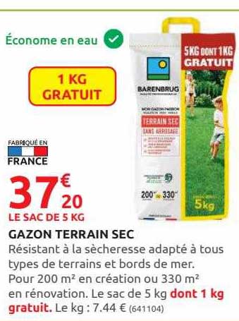Gazon Terrain Sec