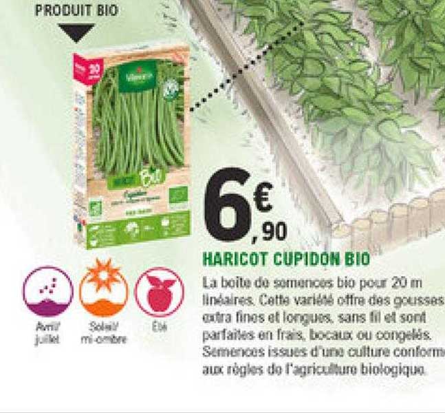 haricot cupidon bio