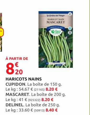 haricots nains
