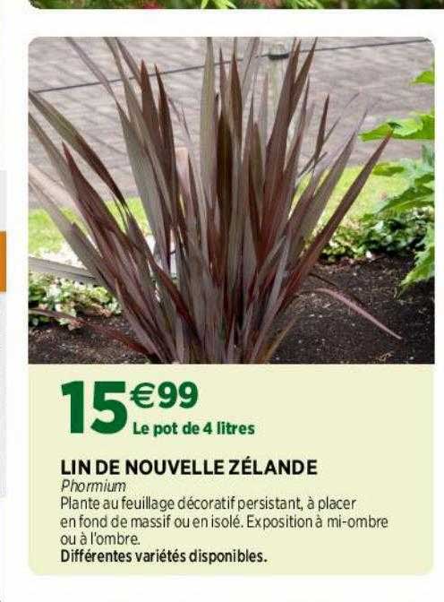 lin de nouvelle zélande