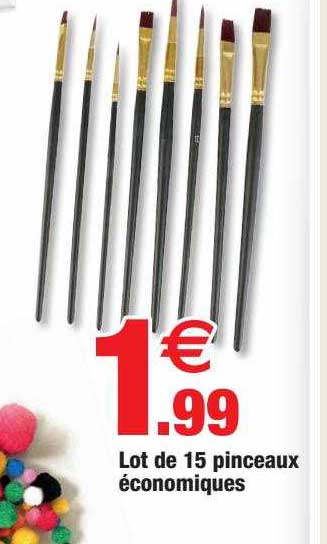 lot de 15 pinceaux économiques