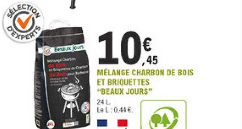 mélange charbon de bois et briquettes "beaux jours"
