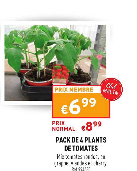 Pack De 4 Plantes De Tomates