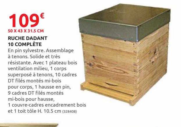 ruche dadant 10 complète