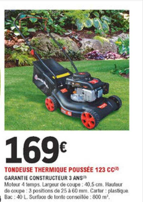 Tondeuse Thermique Poussée 123 Cc