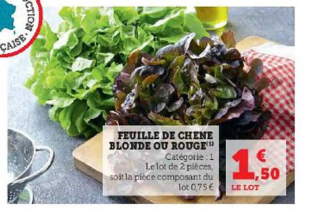 Feuille De Chêne Blonde Ou Rouge