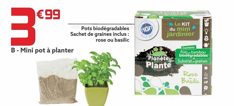 mini pot à planter
