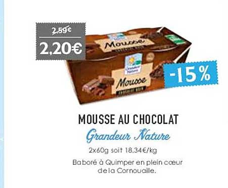 mousse au chocolat grandeur nature