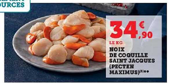 noix de coquille saint jacques (pecten maximus)
