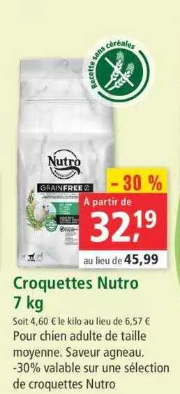 Croquettes Nutro 7 Kg