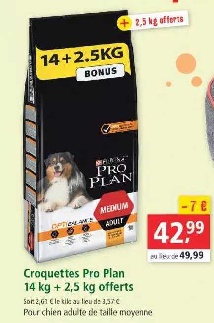 Croquettes Pro Plan 14 Kg + 2,5 Kg Offerts