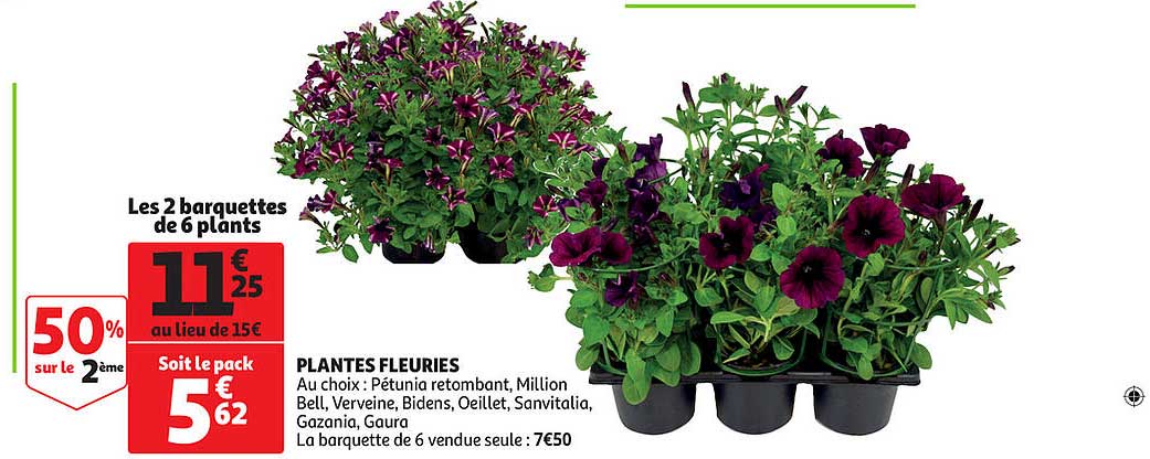 plantes fleuries