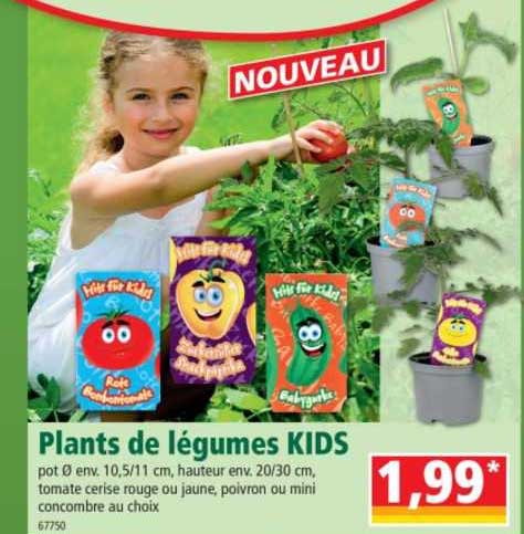plants de légumes kids