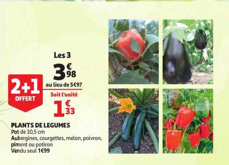 plants de légumes