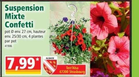 suspension mixte confetti