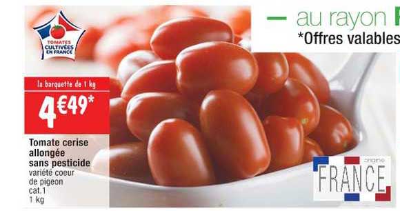 tomate cerise allongée sans pesticide