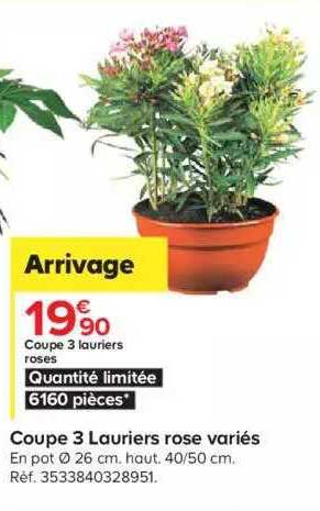 coupe 3 lauriers rose variés