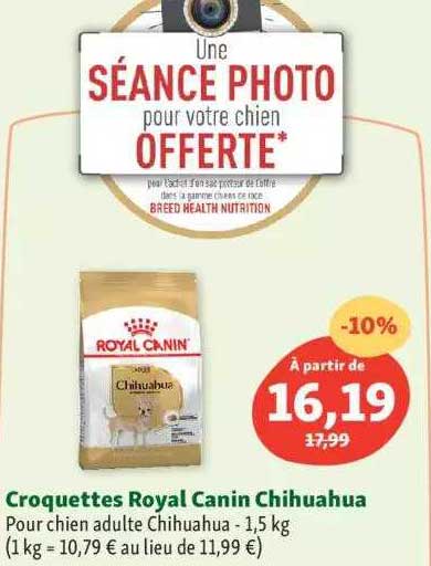 croquettes royal canin chihuahua