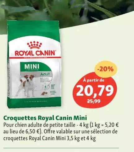 croquettes royal canin mini