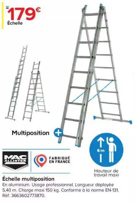 échelle multiposition mac allister