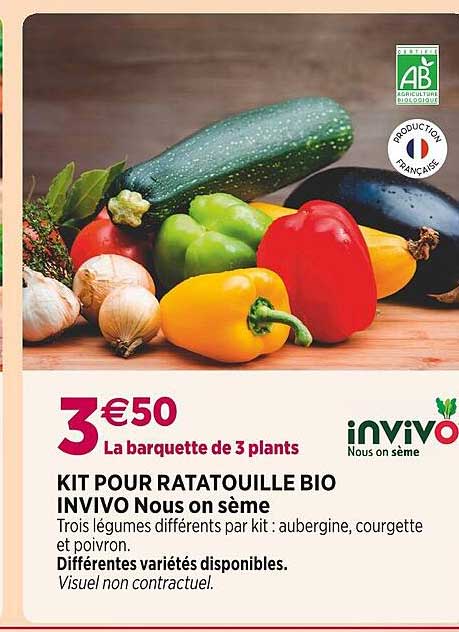 kit pour ratatouille bio invivo nous on sème