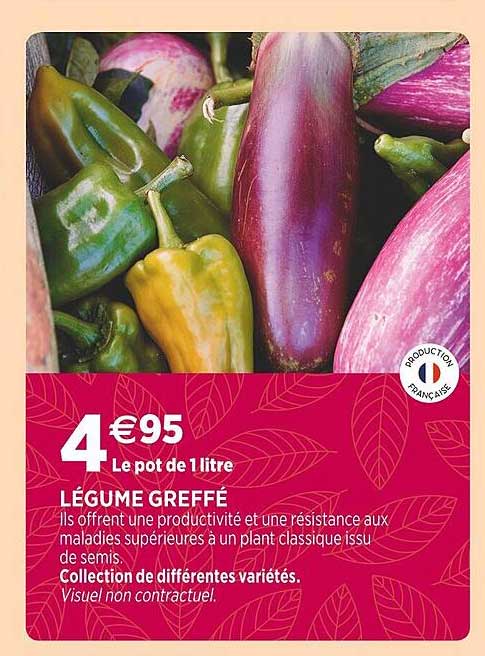légumes greffé