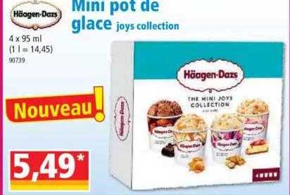mini pot de glace joys collection häagen-dazs