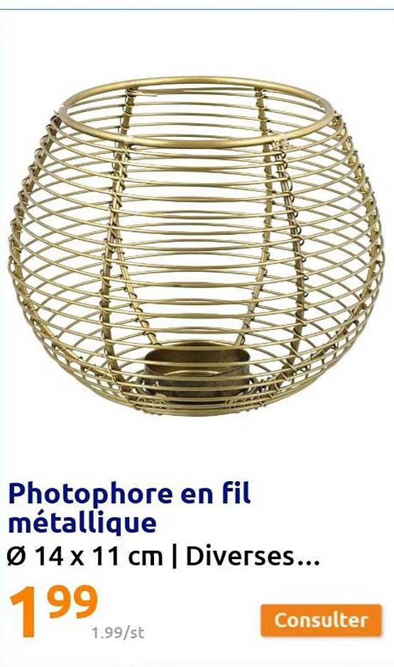 Photophore En Fil Métallique