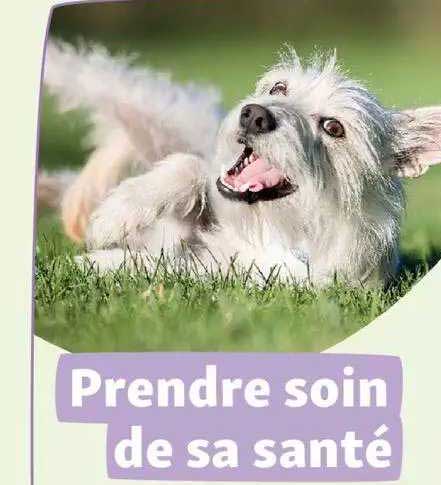 prendre soin de sa santé