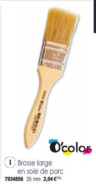 brosse large en soie de porc o'color
