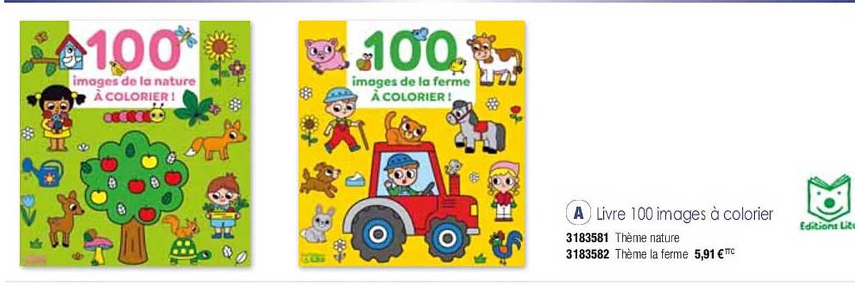 livre 100 images à colorier