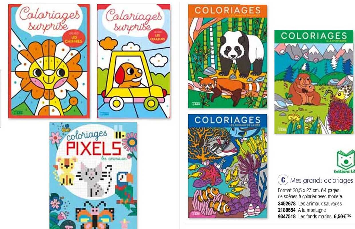 mes grands coloriages